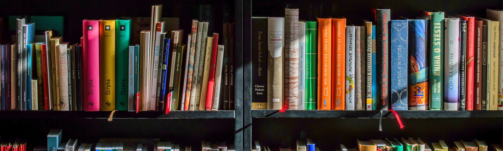 Bilden visar en bokhylla full med böcker